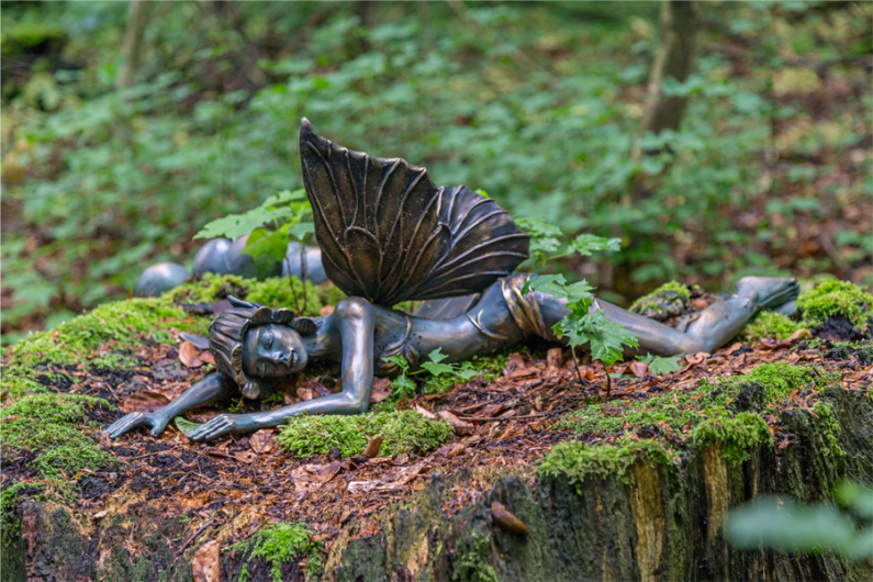 calengwirith de la forêt enchantée
