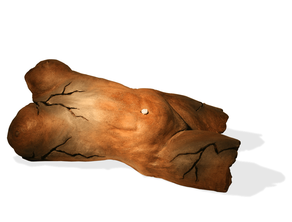 Terre de Feu I