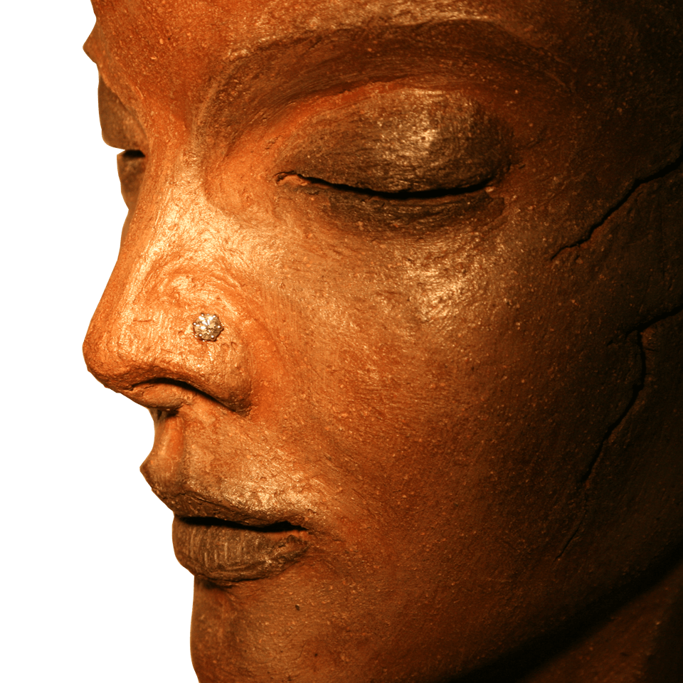 Terre de Feu V