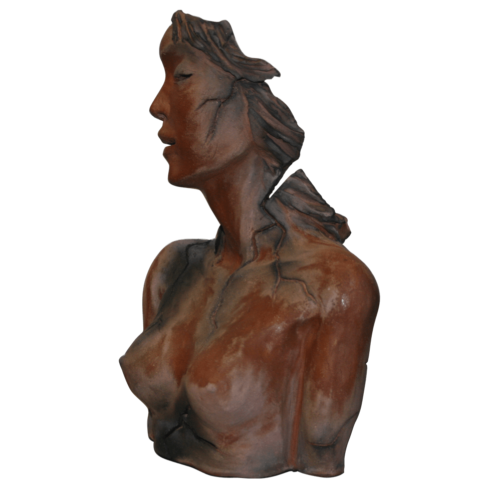 Terre de Feu VII