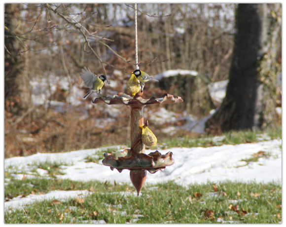 Mangeoire à oiseau en céramique