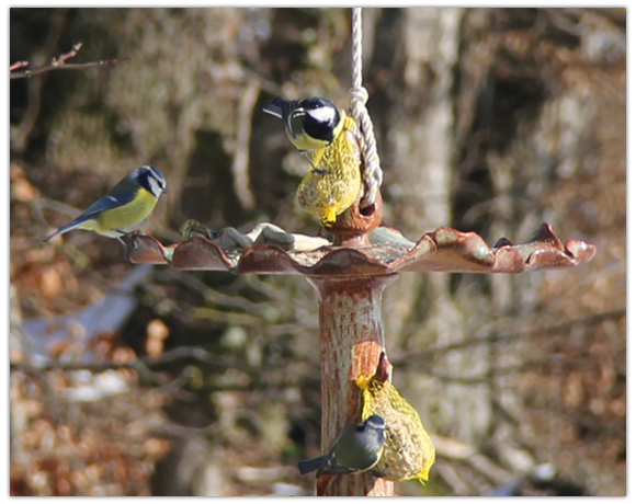 Mangeoire à oiseau en céramique