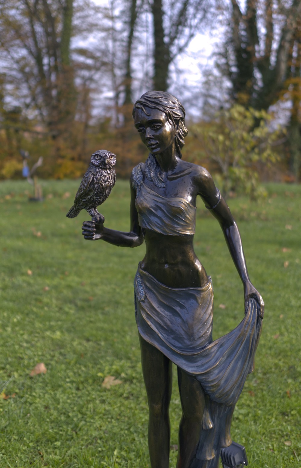 Chouette Athena - Sara.H