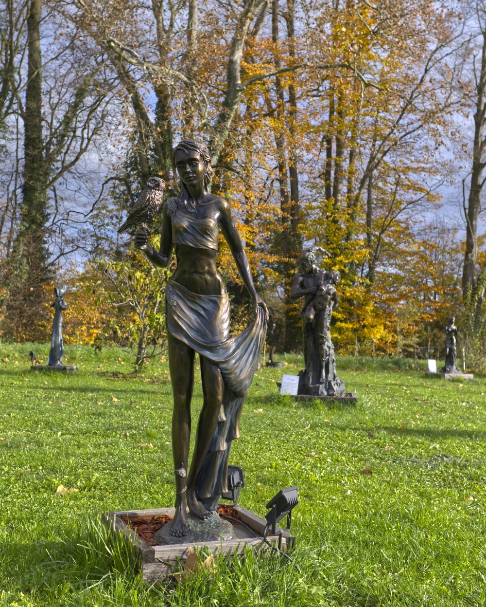 Chouette Athena - Sara.H