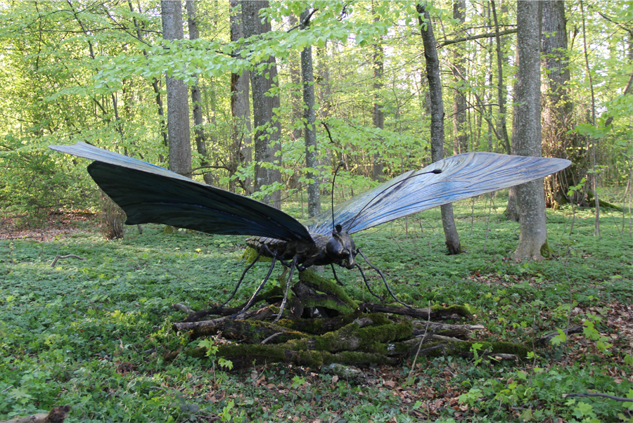 Ealacil - papillon calengwirith