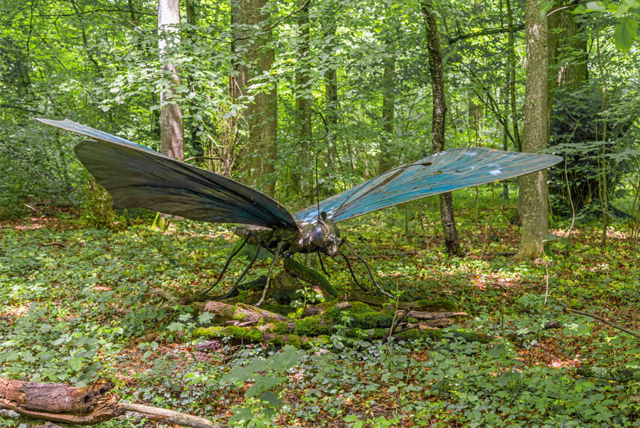 Ealacil - papillon calengwirith